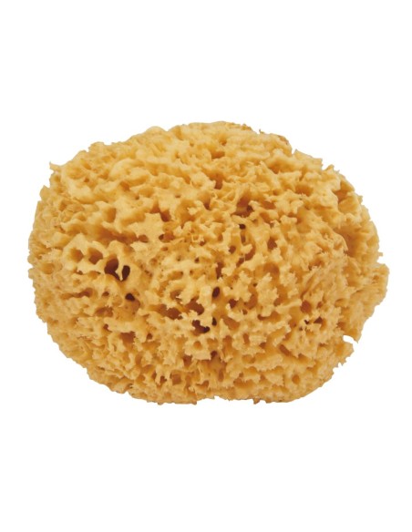 Spugna Naturale Maxi: pulizia delicata e efficace