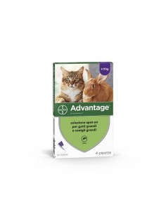 Advantage 80mg Spot-On per gatti e conigli