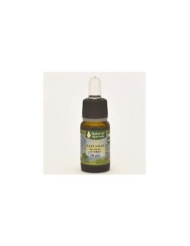 Olio essenziale nasale: sollievo rapido | Nasyamap