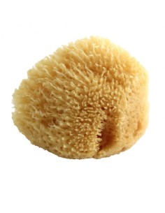 Spugna Naturale - pulizia delicata e sicura