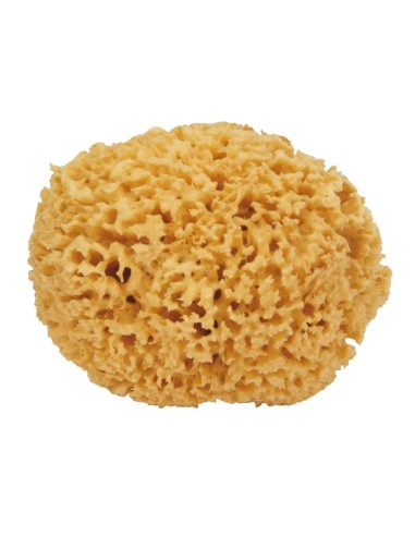 Spugna Naturale Grande: pulizia delicata ed efficace