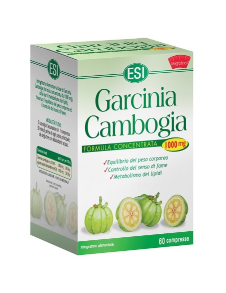 Garcinia Cambogia Integratore Metabolismo Lipidi