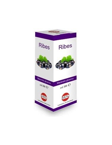 Ribes nigrum macerato glicerico Gocce 100 ml