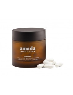 Amada 60cpr - Prestazioni e affidabilità